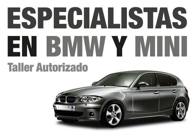 Especialistas en Bmw y Mini